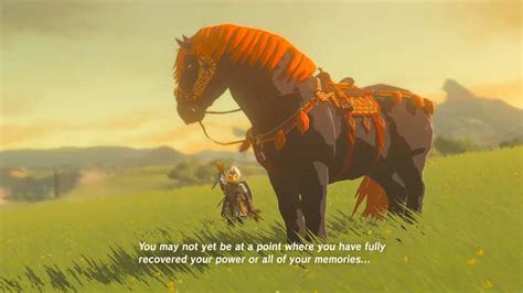 zelda botw pferde|Zelda